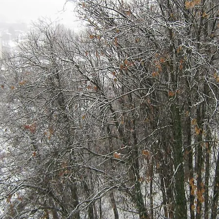 아파트 Mansardato In