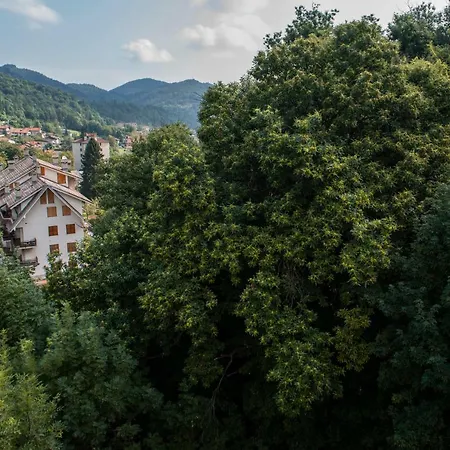 Apartment Mansardato In